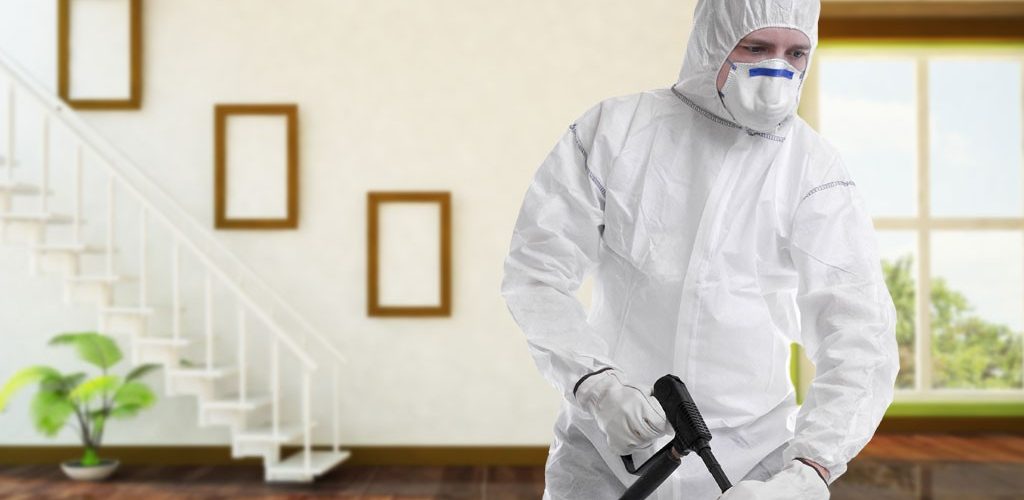 شركة ابادة براغيث | ليون الالمانية |01158000697