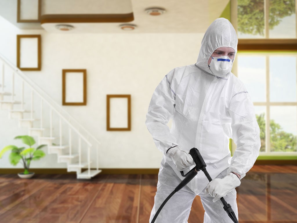 شركة ابادة براغيث | ليون الالمانية |01158000697