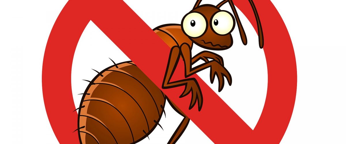 افضل شركة مكافحة الحشرات فى مصر |ليون الالمانية| 01158000697